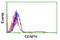 Centromere Protein H antibody, TA503870, Origene, Flow Cytometry image 