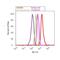 SMAD2 antibody, 40-0800, Invitrogen Antibodies, Flow Cytometry image 