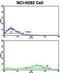 Fascin Actin-Bundling Protein 1 antibody, abx032965, Abbexa, Flow Cytometry image 