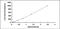 Thymidine Kinase 1 antibody, MBS2021703, MyBioSource, Enzyme Linked Immunosorbent Assay image 