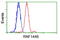 Ring Finger Protein 144B antibody, GTX83705, GeneTex, Flow Cytometry image 