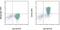 CD163 antibody, 17-1639-42, Invitrogen Antibodies, Flow Cytometry image 