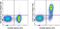 Fc Fragment Of IgE Receptor II antibody, 62-0232-82, Invitrogen Antibodies, Flow Cytometry image 