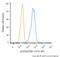 Sequestosome 1 antibody, NBP2-43663, Novus Biologicals, Flow Cytometry image 