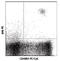 Interleukin 3 Receptor Subunit Alpha antibody, LS-C40981, Lifespan Biosciences, Flow Cytometry image 