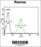 Huntingtin Interacting Protein 1 Related antibody, 55-634, ProSci, Flow Cytometry image 