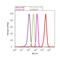 CD99 Molecule (Xg Blood Group) antibody, MA5-12287, Invitrogen Antibodies, Flow Cytometry image 