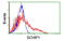 Schwannomin-interacting protein 1 antibody, MBS838451, MyBioSource, Flow Cytometry image 