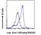 Nuclear Receptor Subfamily 1 Group H Member 2 antibody, 45-849, ProSci, Flow Cytometry image 