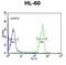 Osteomodulin antibody, abx033422, Abbexa, Flow Cytometry image 