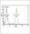 Nuclear Receptor Coactivator 7 antibody, PA5-26543, Invitrogen Antibodies, Flow Cytometry image 