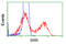 Serine Racemase antibody, LS-C114999, Lifespan Biosciences, Flow Cytometry image 