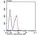 Nucleoporin 153 antibody, NBP2-75598, Novus Biologicals, Flow Cytometry image 