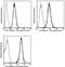 Contactin 1 antibody, orb167706, Biorbyt, Flow Cytometry image 