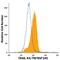 TNF Receptor Superfamily Member 10d antibody, FAB633G, R&D Systems, Flow Cytometry image 