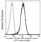 MCAM antibody, 10115-R044, Sino Biological, Flow Cytometry image 