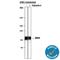 Discoidin Domain Receptor Tyrosine Kinase 2 antibody, AF2538, R&D Systems, Western Blot image 