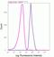 RAGE antibody, 701316, Invitrogen Antibodies, Flow Cytometry image 