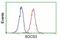 Suppressor Of Cytokine Signaling 3 antibody, NBP2-00817, Novus Biologicals, Flow Cytometry image 