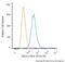 Chromodomain Helicase DNA Binding Protein 4 antibody, NBP2-50163, Novus Biologicals, Flow Cytometry image 