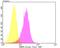 PARP2 antibody, A03270, Boster Biological Technology, Flow Cytometry image 