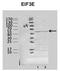 Eukaryotic Translation Initiation Factor 3 Subunit E antibody, orb330533, Biorbyt, Western Blot image 