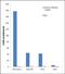 Histone Cluster 4 H4 antibody, 710810, Invitrogen Antibodies, Chromatin Immunoprecipitation image 
