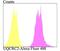 Ubiquinol-Cytochrome C Reductase Core Protein 2 antibody, NBP2-76971, Novus Biologicals, Flow Cytometry image 