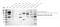 Kinase Insert Domain Receptor antibody, A00901-3, Boster Biological Technology, Western Blot image 