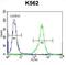 Kell Metallo-Endopeptidase (Kell Blood Group) antibody, abx028382, Abbexa, Flow Cytometry image 