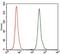 Nuclear Receptor Subfamily 6 Group A Member 1 antibody, GTX60623, GeneTex, Flow Cytometry image 