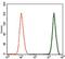 Doublecortin antibody, GTX60612, GeneTex, Flow Cytometry image 