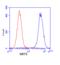 Sirtuin 1 antibody, ab110304, Abcam, Flow Cytometry image 