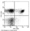 Lyt-2 antibody, 10980-MM28-A, Sino Biological, Flow Cytometry image 