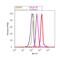 Nucleophosmin 1 antibody, 32-5200, Invitrogen Antibodies, Flow Cytometry image 