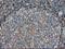 Catalase antibody, NBP2-00492, Novus Biologicals, Immunohistochemistry paraffin image 