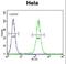 Leucyl-TRNA Synthetase antibody, LS-C165689, Lifespan Biosciences, Flow Cytometry image 