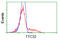 Tetratricopeptide Repeat Domain 32 antibody, TA501345, Origene, Flow Cytometry image 