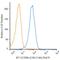 CD86 antibody, NBP2-47778PCP, Novus Biologicals, Flow Cytometry image 