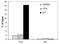 Histone Deacetylase 3 antibody, GTX60832, GeneTex, Chromatin Immunoprecipitation image 