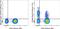 Neural Cell Adhesion Molecule 1 antibody, 46-0566-41, Invitrogen Antibodies, Flow Cytometry image 