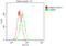 Superoxide Dismutase 1 antibody, CSB-RA829583A0HU, Cusabio, Flow Cytometry image 