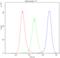 Cytochrome P450 Oxidoreductase antibody, A02166-Dyl488, Boster Biological Technology, Flow Cytometry image 