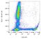 CD8b Molecule antibody, GTX78255, GeneTex, Flow Cytometry image 