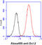 BCL2 antibody, GTX57574, GeneTex, Flow Cytometry image 