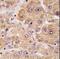 UV Radiation Resistance Associated antibody, LS-C160492, Lifespan Biosciences, Immunohistochemistry paraffin image 