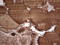 Thyroglobulin antibody, LS-C790327, Lifespan Biosciences, Immunohistochemistry paraffin image 