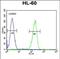 Olfactory Receptor Family 2 Subfamily F Member 2 antibody, PA5-48155, Invitrogen Antibodies, Flow Cytometry image 