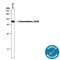 Glucuronidase Beta antibody, AF6144, R&D Systems, Western Blot image 