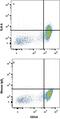 Toll Like Receptor 5 antibody, MAB6704, R&D Systems, Flow Cytometry image 